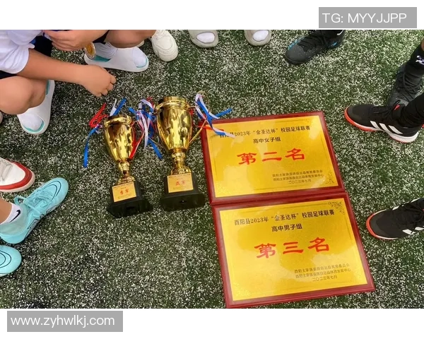 张丽的足球人生：从小球场到职业赛场的深度对话与成长故事